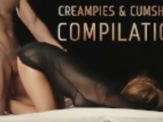 COMPILATION of Creampies and Cumshots Vol. 8